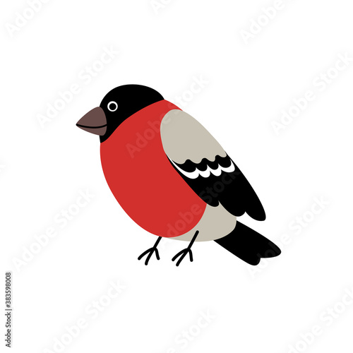Small colored funny bullfinch sits on a white isolated background. Flat vector cartoon illustration for winter greeting cards, posters or print on any surface