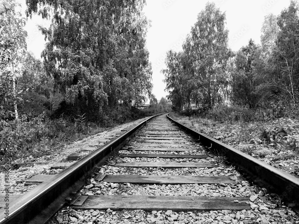 Railway in the forest. Black and white photo Railway in the forest. Black and white photo