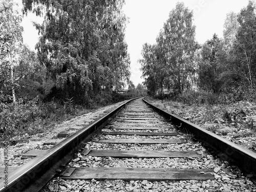 Railway in the forest. Black and white photo