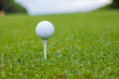 Slika na platnu Golfball on a tee against the golf course