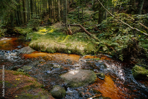 Mountain stream in the Bohemian Forest  Sumava national park  Nova Pec  Czech Republic