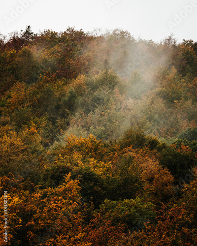 aerial view of an autumn forest with fog and yellow and orange trees