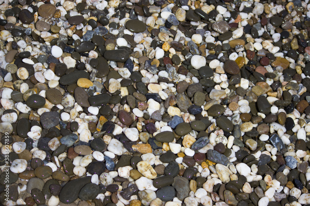 wet pebbles backdrop. pebble coast by the sea. summer, southern Russia.