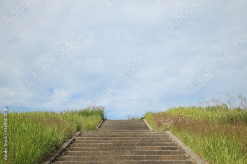 晴れた空へと続く階段 stairs to the sunny sky 2