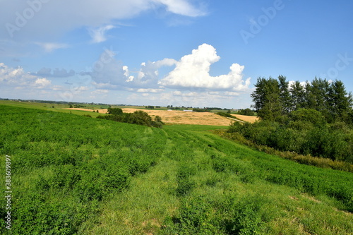 A view of a dense field  meadow or pastureland surrounded with trees  shrubs  and hills from all sides seen on a sunny yet cloudy summer day on a Polish countryside during a hike 