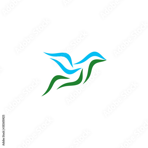 Bird logo. Design vector template