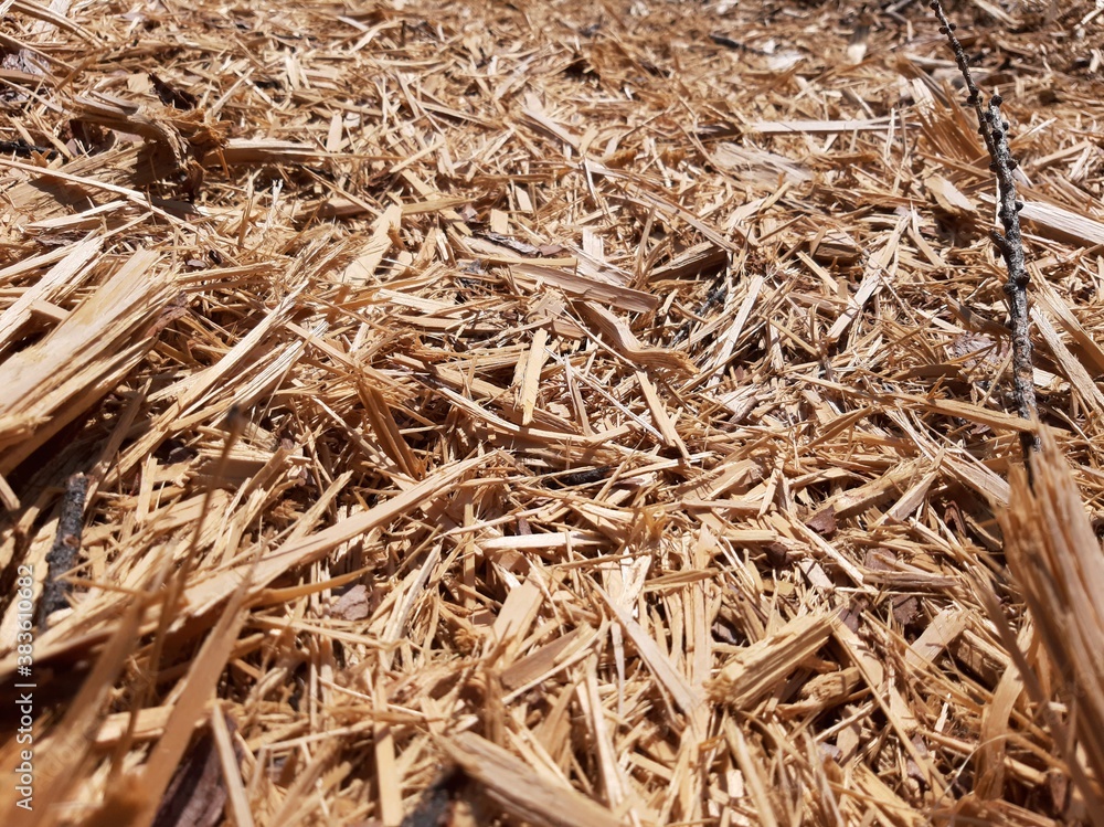 texture of hay