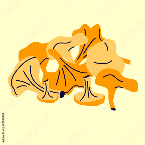 Raw fresh chanterelle mushrooms isolated