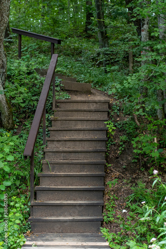 Wooden stairs in forest