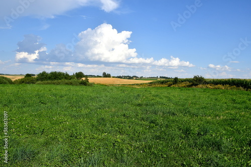 A view of a dense field, meadow or pastureland surrounded with trees, shrubs, and hills from all sides seen on a sunny yet cloudy summer day on a Polish countryside during a hike 