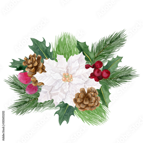 Christmas botanical bouquet watercolor illustration. Holly, cotton, pine cone and fir tree branch isolated on white background.