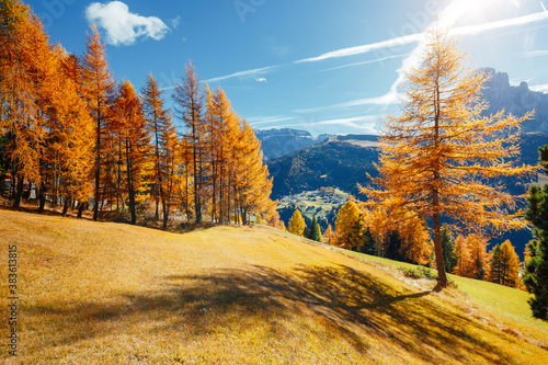 Splendid autumn landscape in Val Gardena. Location Dolomites, Trentino Alto Adige, Italy, Europe. photo