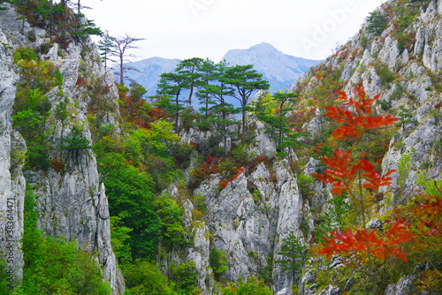 Tasnei Gorges landscape in the protected area of Herculane, Romania photo