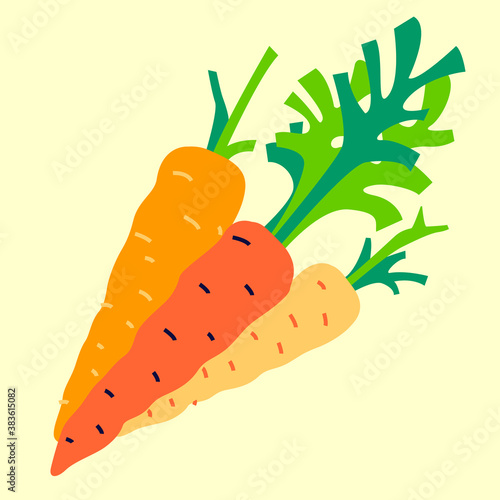 Carrot. Vegetables, vegetarian, healthy food