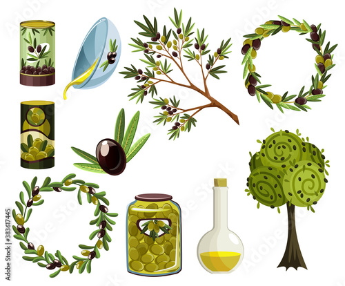 Organic olive products set. Oil elements. Fresh ripe tree fetuses and fragrant oil in bottles and jugs isolated on white background