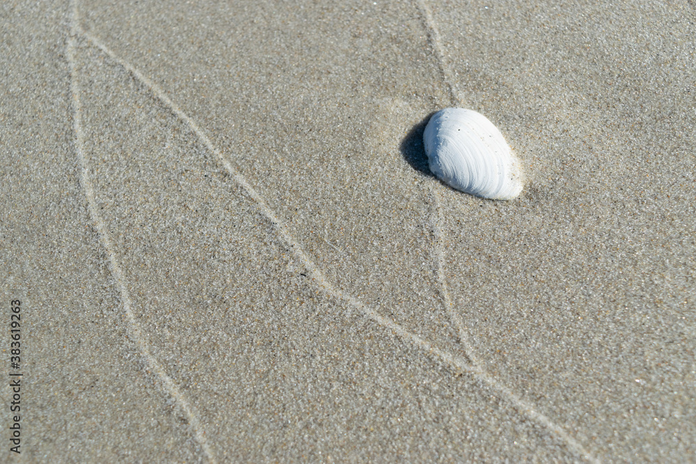 White sand coast of the Baltic Sea. Beautiful northern beach White sand coast of the Baltic Sea. Beautiful northern beach