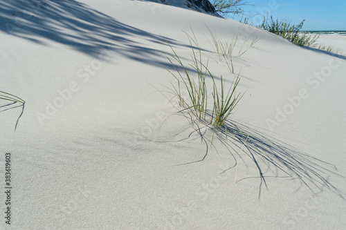 Fototapeta Naklejka Na Ścianę i Meble -  White sand coast of the Baltic Sea. Beautiful northern beach