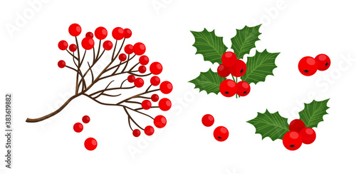 Holly berry and red rowan berry branch icon, vector Christmas symbols, holiday plants isolated on white background, winter nature illustration