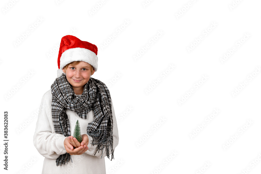 Adorable smiling boy with Christmas red hat wearing white pullover holding a little Christmas tree, isolated on white background Adorable smiling boy with Christmas red hat wearing white pullover holding a little Christmas tree, isolated on white background