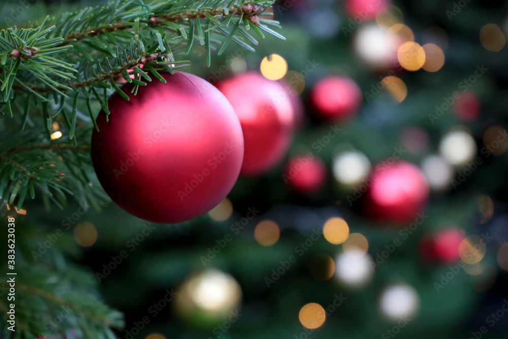 Red Christmas balls hanging on a fir branches on festive lights background. New Year tree with decorations, magic of a holiday