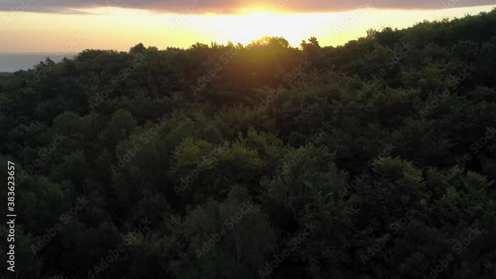 Beautiful Image Of Tree Tops Surrounding The Forest Opera In Sopot Poland - aerial shot Beautiful Image Of Tree Tops Surrounding The Forest Opera In Sopot Poland - aerial shot