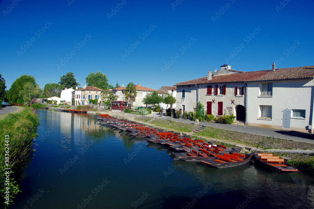 Obraz premium coulon -vensie verte