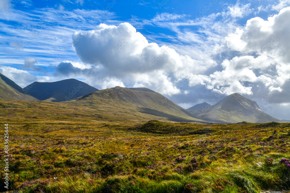 Fototapeta premium landscape with sky and clouds