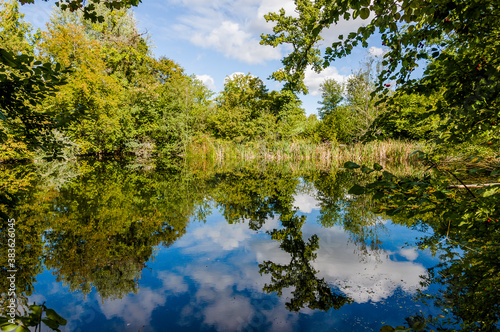 Wildenstein  Weiher  Wasserpflanzen  Spiegelung  Schloss  Bubendorf  Lampenberg  Wanderweg  Eichenwald  Eichenb  ume  Herbst  Baselland  Schweiz