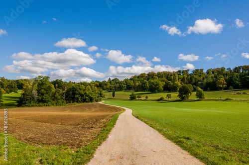 Wildenstein, Schloss, Bubendorf, Eiche, Eichel, Eichenbaum, Eicheln, Felder, Landwirtschaft, Kirschbäume, Park, Weiher, Wanderweg, Baselland, Herbst, Schweiz