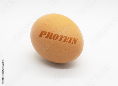 Brown egg isolated on white background with the word protein written on it.