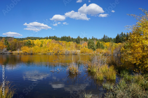 A small pond near Lake Tahoe surrounded by trees with vibrant yellow, gold and orange fall colors, on a sunny autumn day