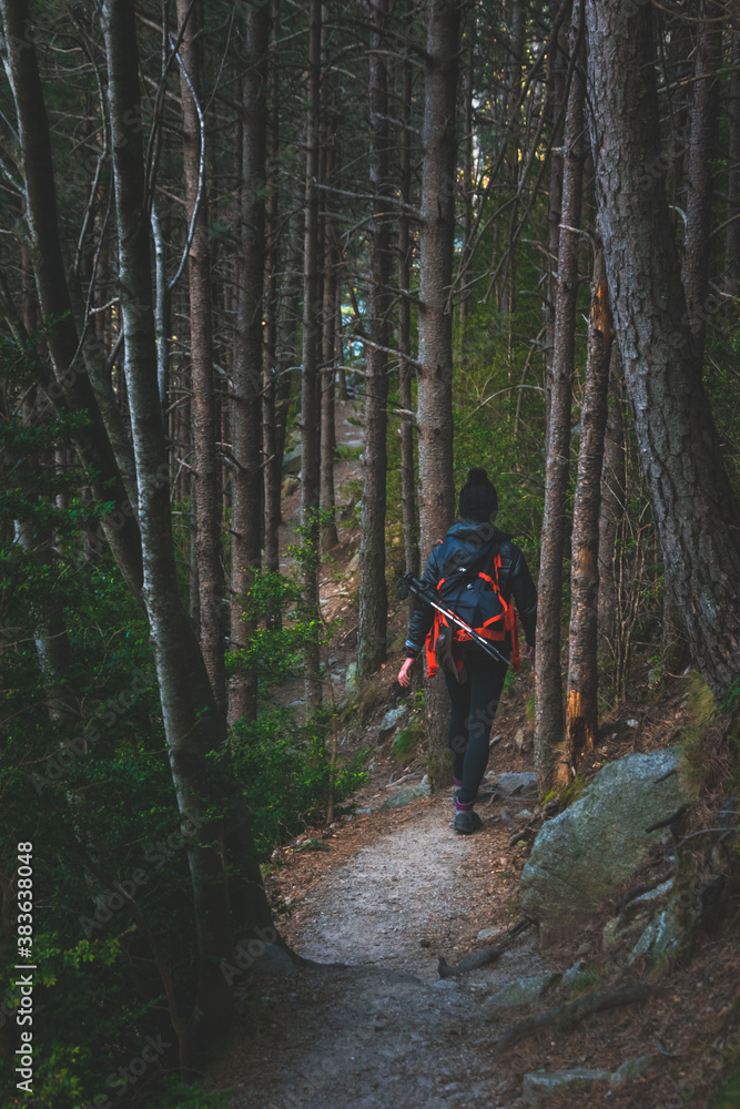Joven mujer haciendo senderismo.
Young woman hiking Joven mujer haciendo senderismo.
Young woman hiking