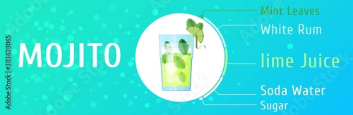 Mojito cocktail ingredients vector trendy stylish flat design