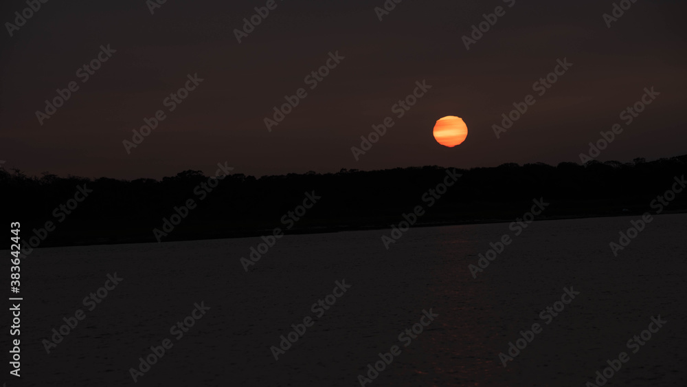 Sun rising behind the trees 