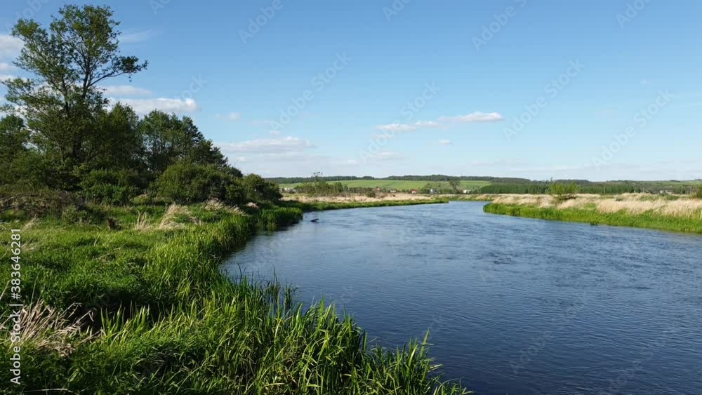 Timelapse of a flowing river with very green and wild embankment Timelapse of a flowing river with very green and wild embankment