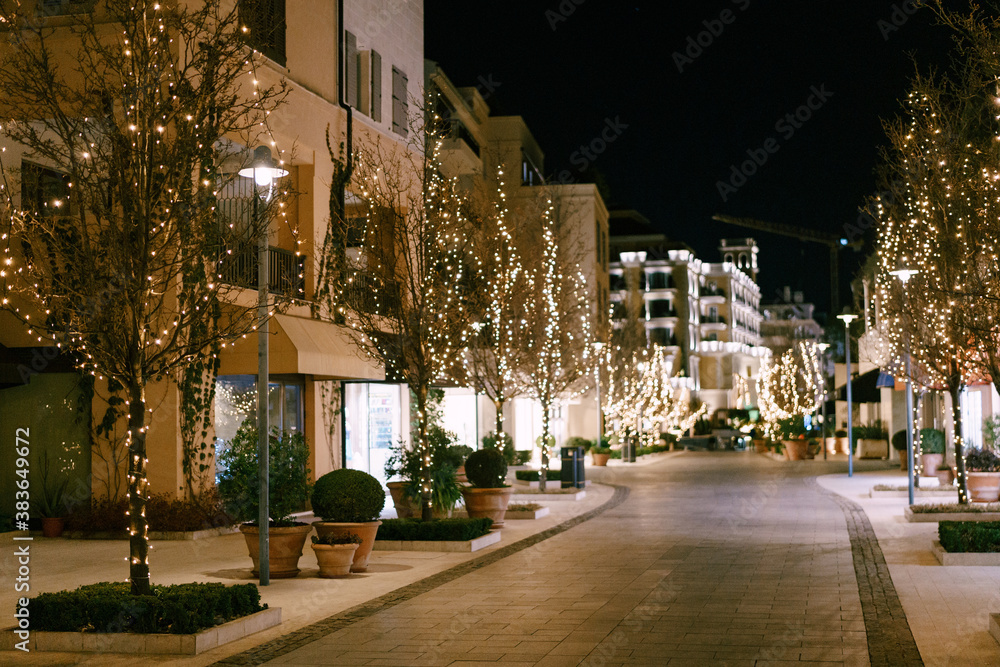 Trees on the street decorated with garlands for Christmas.