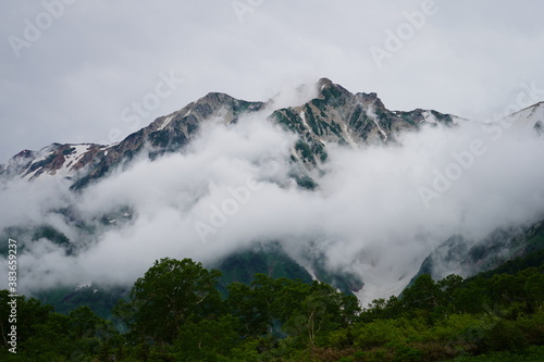 白馬三山 栂池高原 残雪 大雪渓 夏休み ハイキング トレッキング 山 長野