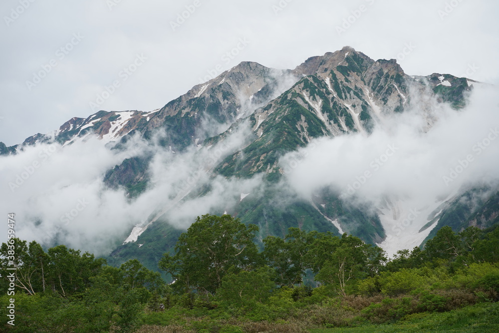 白馬三山　栂池高原　残雪　大雪渓　夏休み　ハイキング　トレッキング　山　長野