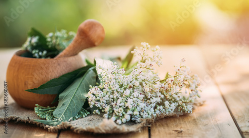 Wooden mortar with pestle and fresh valerian flowers. mortar with prepared potion of valerian root. use of medicinal plants in traditional medicine.