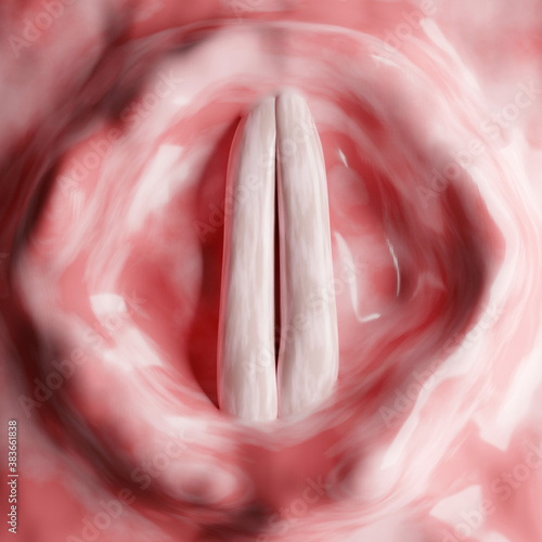 Bild auf Leinwand The vocal folds, known as vocal cords, are two folds of muscle and mucosa that e