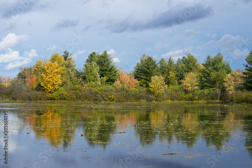 Reflections of colourful trees on a lake