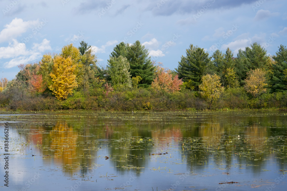 Reflections of colourful trees in a lake 