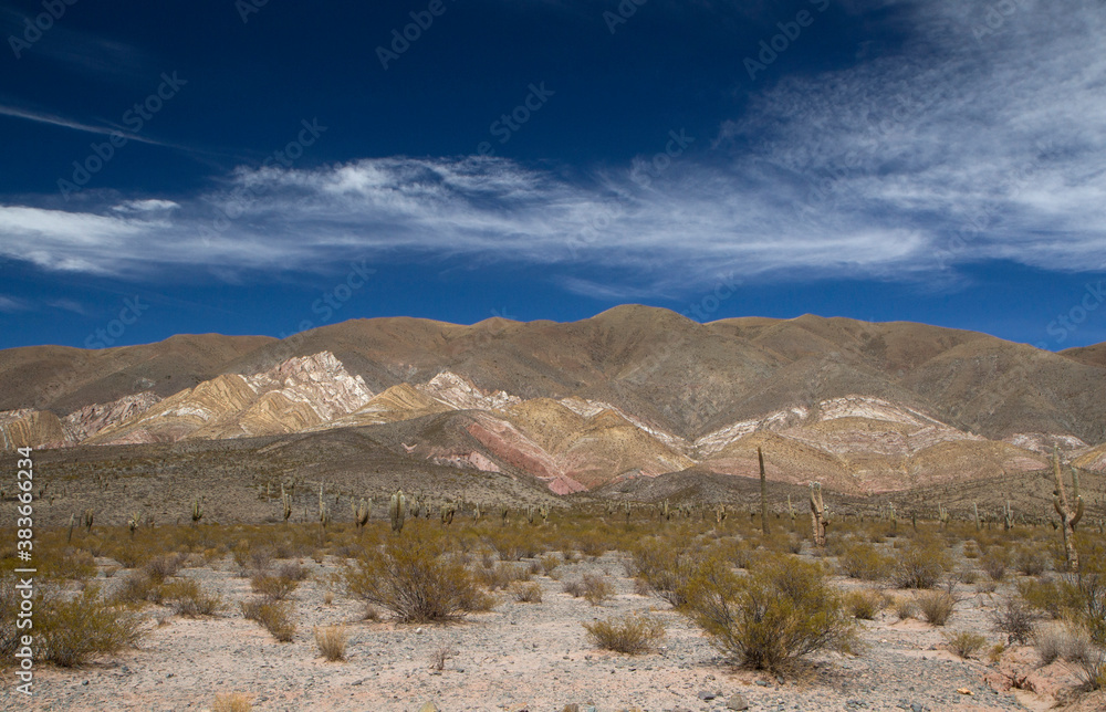 The arid desert. Panorama view of the colorful hill in Los Cardones National Park in Salta Argentina. The sand, shrubs, giant cactus Echinopsis atacamensis and mountains under a deep blue sky.