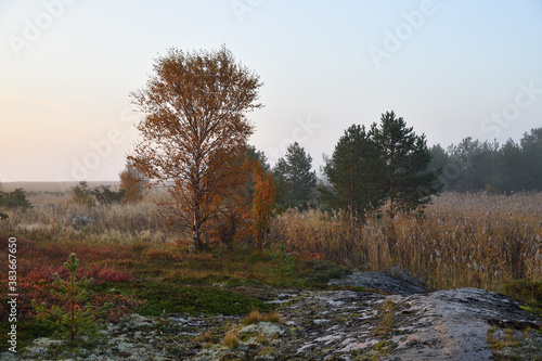 Sunrise on the White Sea in Karelia, Russia photo