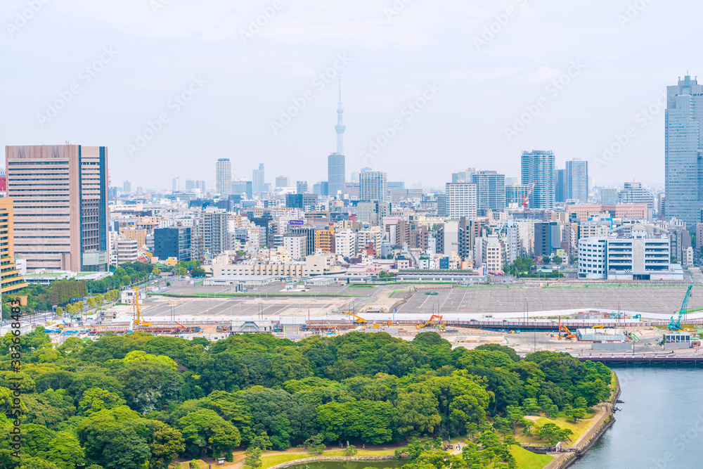 Obraz premium 東京の都市風景とスカイツリー