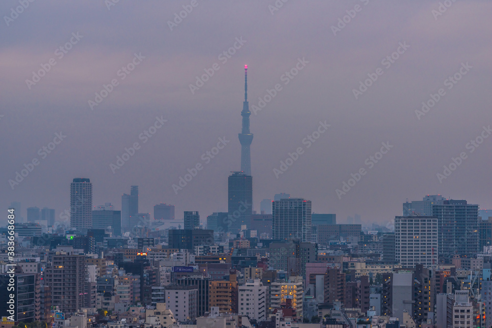 Naklejka premium 東京の都市風景とスカイツリー