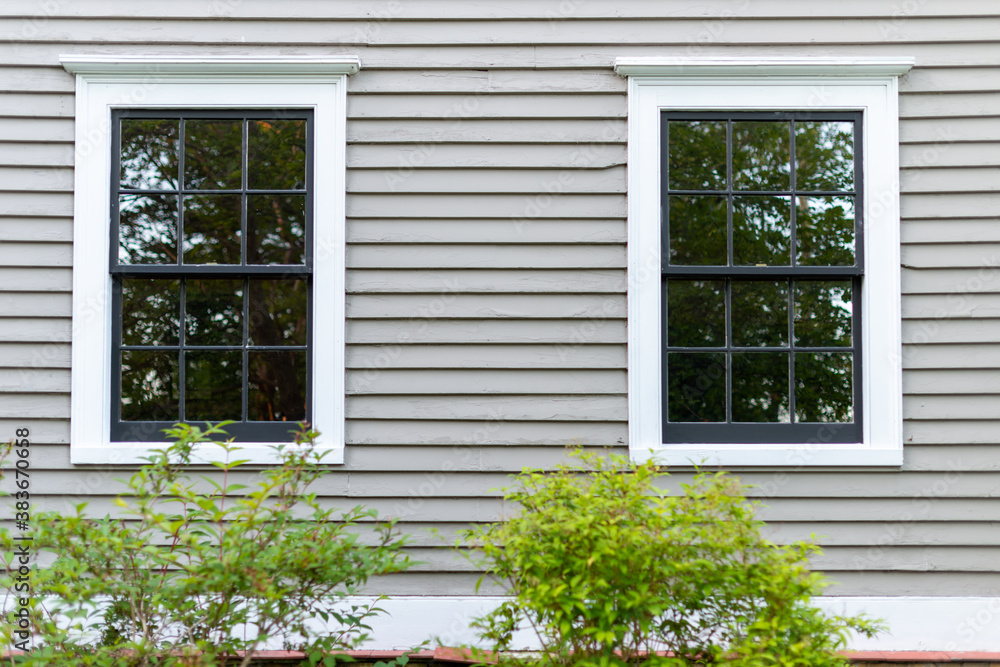 Two double hung windows with multiple panes of glass in a tan color wooden wall. The wall has narrow clapboard with white trim. There are two green bushes in front of the windows. Two double hung windows with multiple panes of glass in a tan color wooden wall. The wall has narrow clapboard with white trim. There are two green bushes in front of the windows.