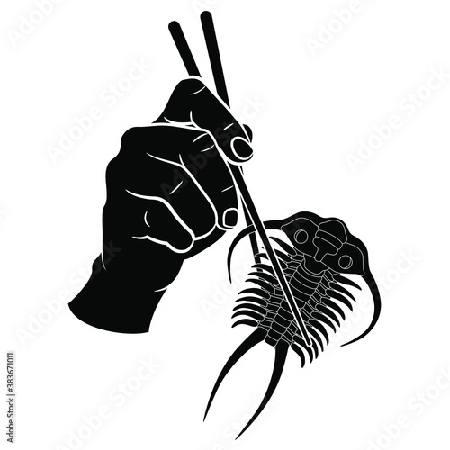 Human hand holding trilobite with chopsticks. Creative concept for exotic oriental food and extinct animals. Hunger for past.