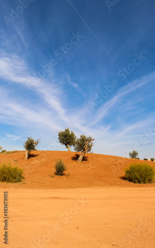 Scenic desert landscape photo