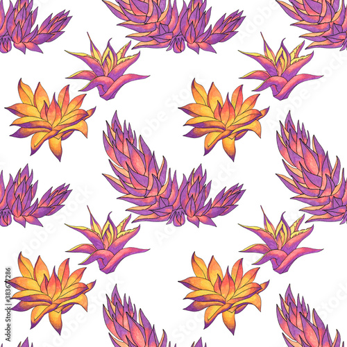 Seamless pattern pink and orange succulent haworthia, aloe vera home plant on white. Art creative hand-drawn background for card, sticker, wallpaper, textile or wrapping